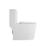 One-Piece Toilet - 图片 3