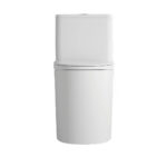 One-Piece Toilet - 图片 4