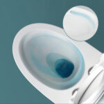 One-Piece Toilet - 图片 5