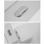 One-Piece Toilet - 图片 6
