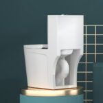 One-Piece Toilet - 图片 7