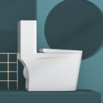 One-Piece Toilet - 图片 8