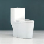 One-Piece Toilet