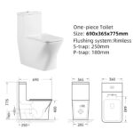 One-piece Toilet - 图片 5
