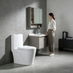 One-Piece Toilet - 图片 2