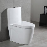 One-Piece Toilet