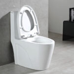 One-Piece Toilet - 图片 4
