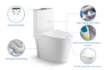 One-Piece Toilet - 图片 5