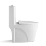 One-Piece Toilet - 图片 6