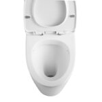 One-Piece Toilet - 图片 8
