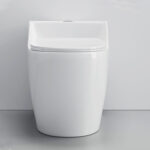 One-Piece Toilet - 图片 2