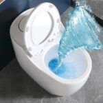 One-Piece Toilet - 图片 3
