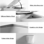 One-piece Toilet - 图片 4