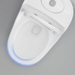 One-Piece Toilet - 图片 5