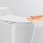 One-Piece Toilet - 图片 6