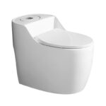One-Piece Toilet