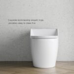 One-Piece Toilet - 图片 10