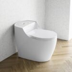 One-Piece Toilet - 图片 12