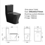 One-piece Toilet - 图片 3