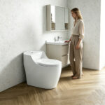 One-Piece Toilet - 图片 13