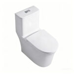 One-Piece Toilet - 图片 3