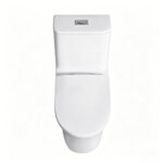 One-Piece Toilet - 图片 4