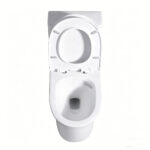 One-Piece Toilet - 图片 6