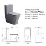One-piece Toilet - 图片 2