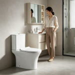 Two-Piece Toilet - 图片 6