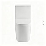 One-Piece Toilet - 图片 2