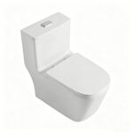 One-Piece Toilet - 图片 3