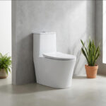 One-Piece Toilet - 图片 2