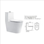 One-Piece Toilet - 图片 3