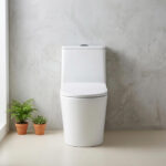 One-Piece Toilet - 图片 4