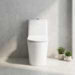 One-Piece Toilet - 图片 5