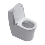 One-Piece Toilet - 图片 6