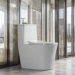 One-Piece Toilet