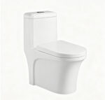 One-Piece Toilet
