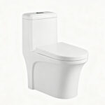 One-Piece Toilet