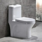 One-Piece Toilet - 图片 2