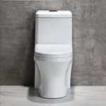 One-Piece Toilet - 图片 3