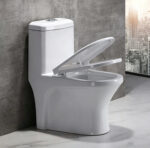 One-Piece Toilet - 图片 4