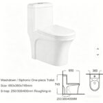 One-Piece Toilet - 图片 5